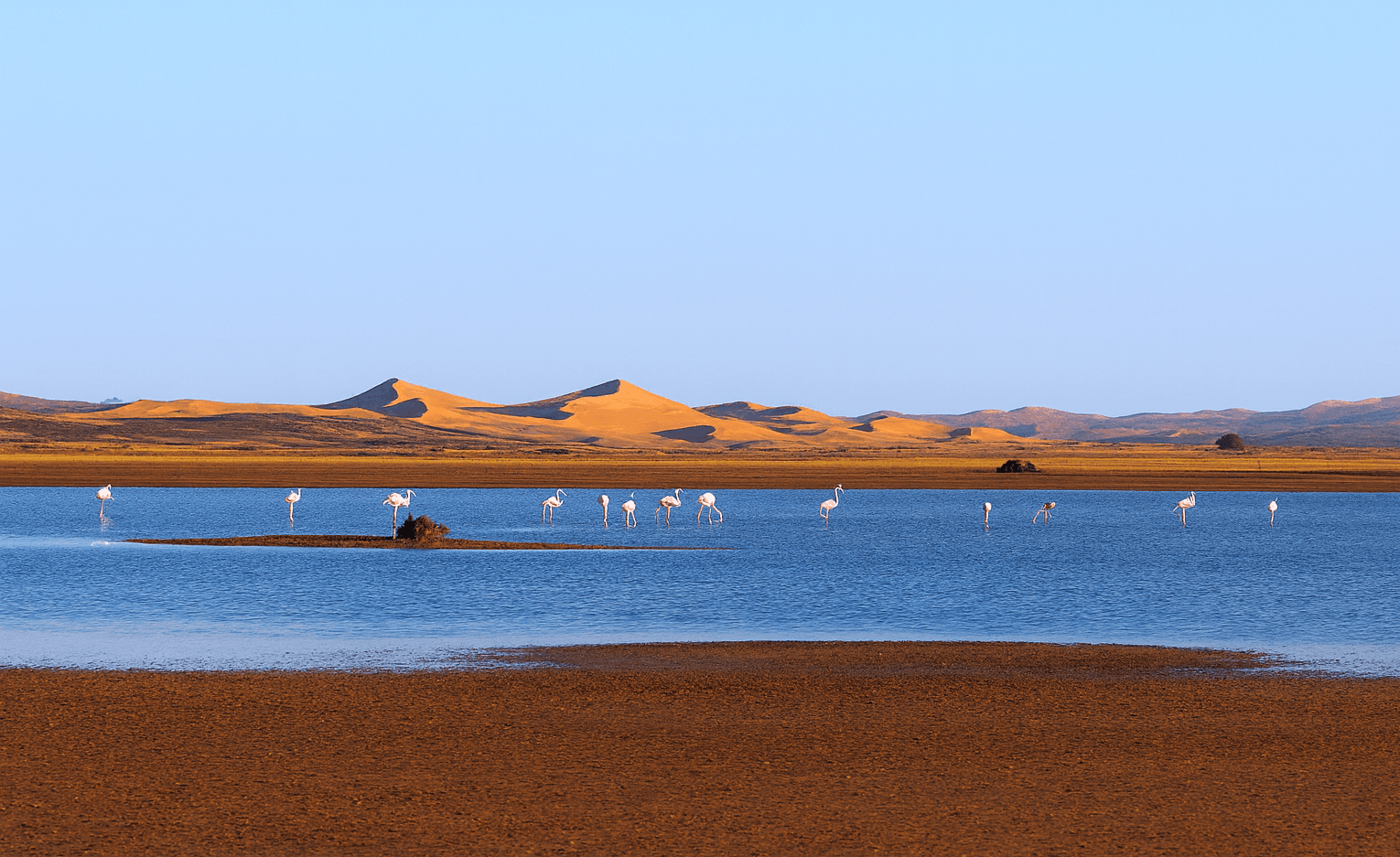 Merzouga: Dayet Srij, joyau écologique du désert