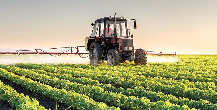 Soutien renforcé aux agriculteurs marocains
