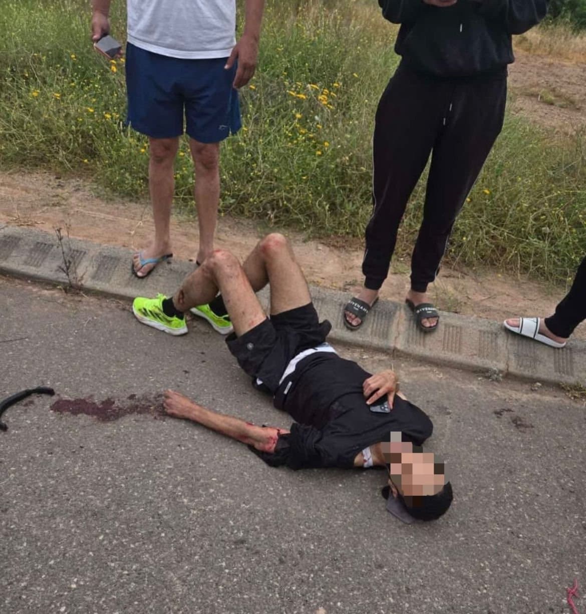 Chiens errants: Un phénomène préoccupant (vidéo)