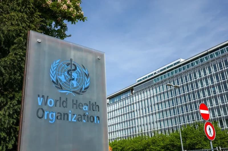 Hantavirus: Le risque mondial reste faible