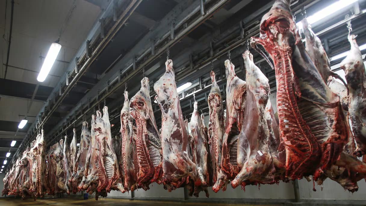 Viande rouge: Les prix atteignent des records