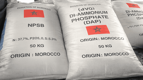 Engrais: le Maroc gagne du terrain sur le marché brésilien