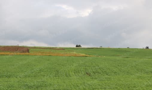 Prévisions météo : Un samedi entre nuages, pluies et vent