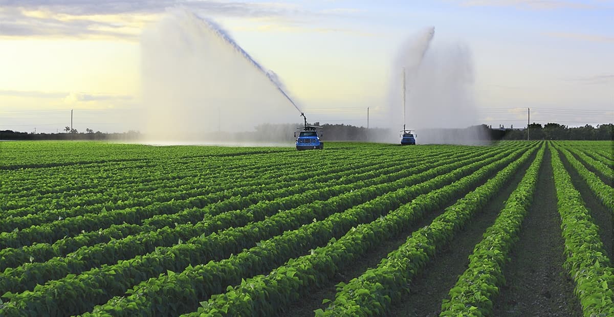 Législatives 2026 : Les agriculteurs de Doukkala placent l’eau au premier plan