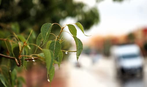 Maroc : Pluies et orages attendus ce vendredi