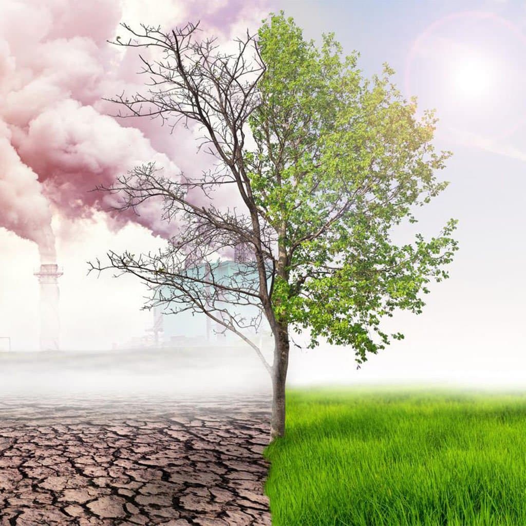 Un climat Marocain en France ?