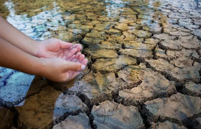 Sécheresse: des millions d'enfants au "bord de la catastrophe" au Sahel et dans la Corne de l’Afrique, selon l’ONU