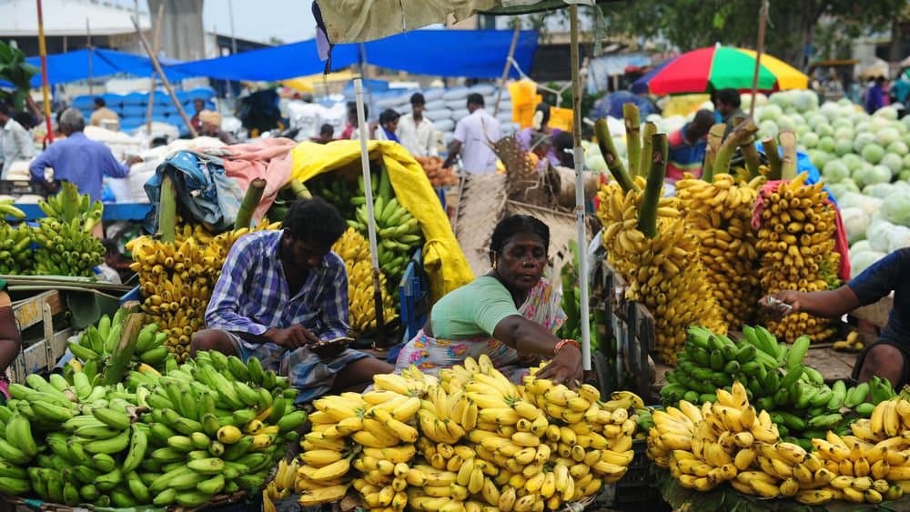 Quel est le premier pays producteur de bananes au Monde ?