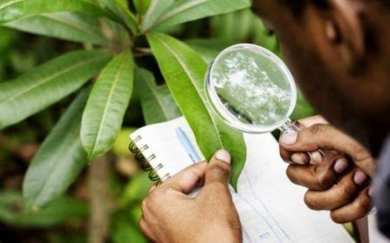 Atelier scientifique national sur les résultats de l'évaluation scientifique des initiatives agro-écologiques