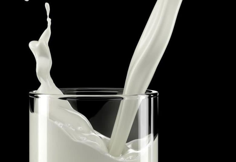 Une vache a produit plus de 53 000 litres de lait au cours de sa vie !