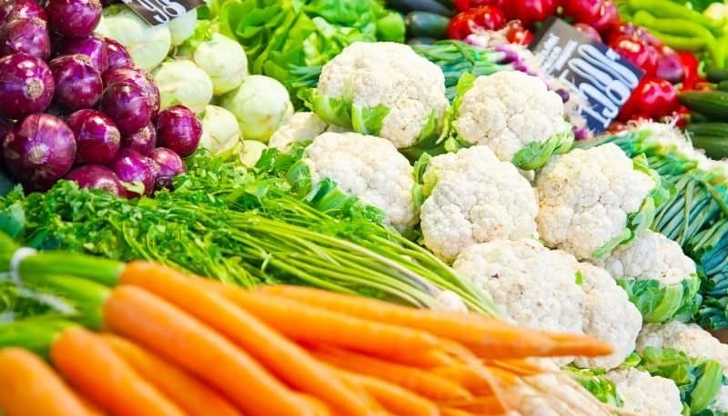 L’agriculture au Maroc en 2023