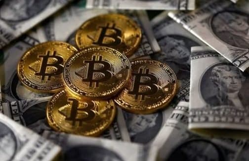 Les "Bonnie and Clyde" new-yorkais du bitcoin plaident coupable après un vol record de cryptomonnaie