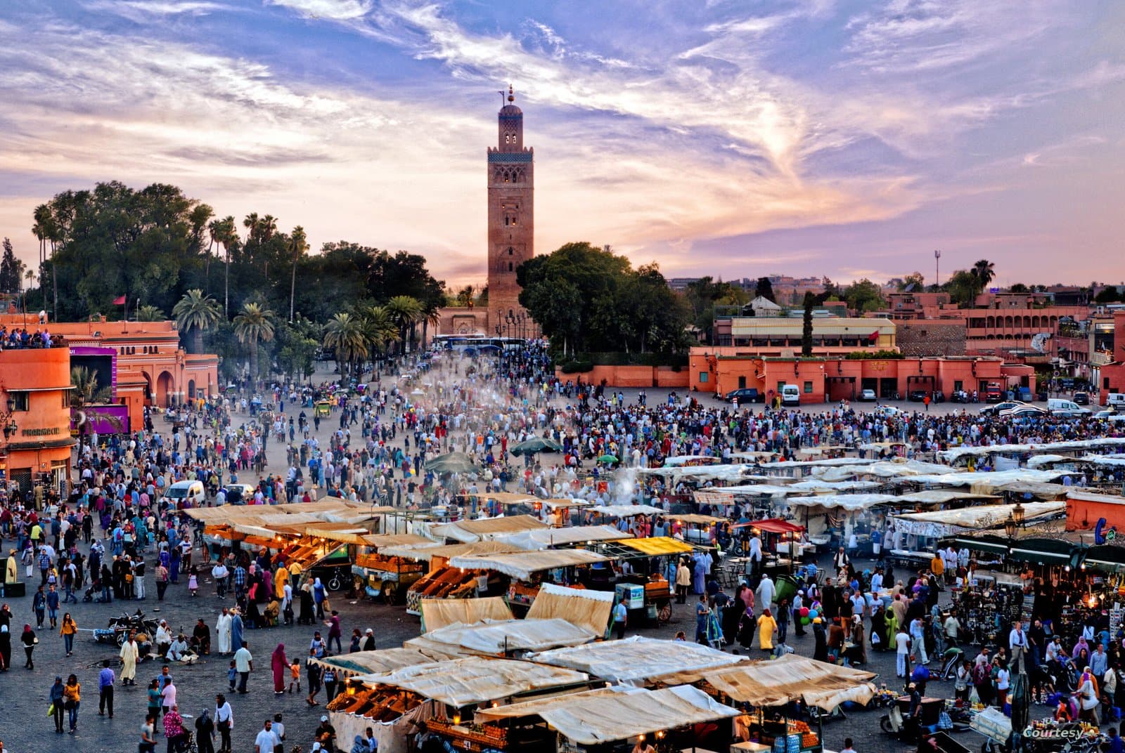 Festival de Marrakech de la Poésie : Un Rassemblement Culturel de Poètes Arabes et Islamiques