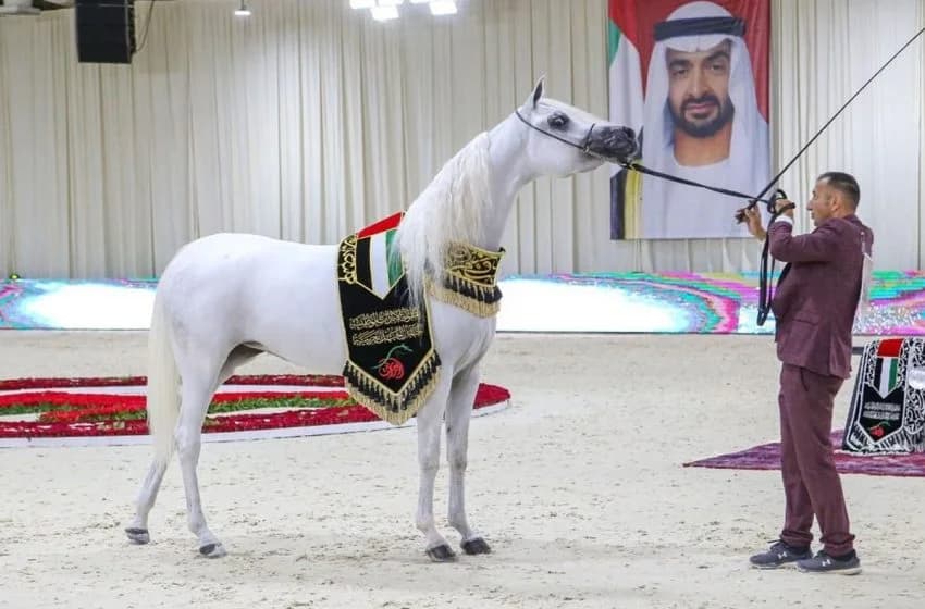 Rabat accueille l'Emirates Arabian Horse Global Cup (Maroc 2024) les 21 et 22 juillet
