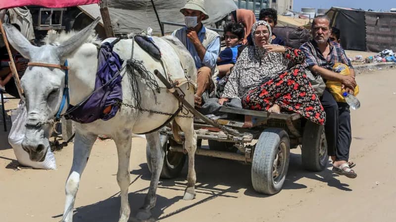 Proposition américaine pour atténuer les divergences dans les négociations entre Israël et le Hamas: Déclaration conjointe avec l'Égypte et le Qatar