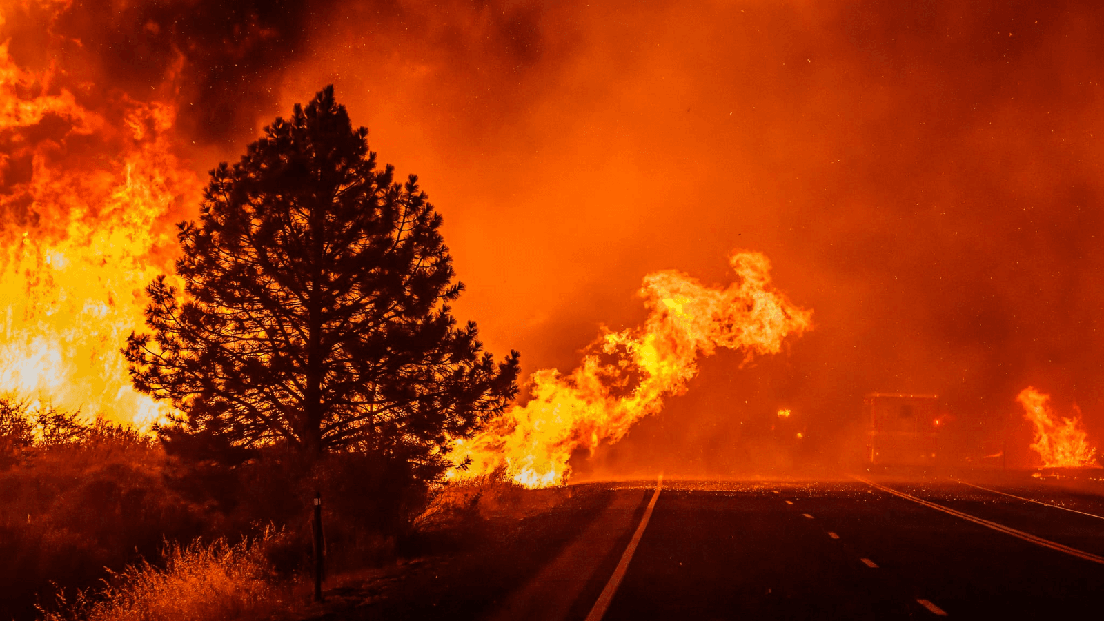 Risque élevé d’incendies de forêts: l’ANEF appelle à la vigilance