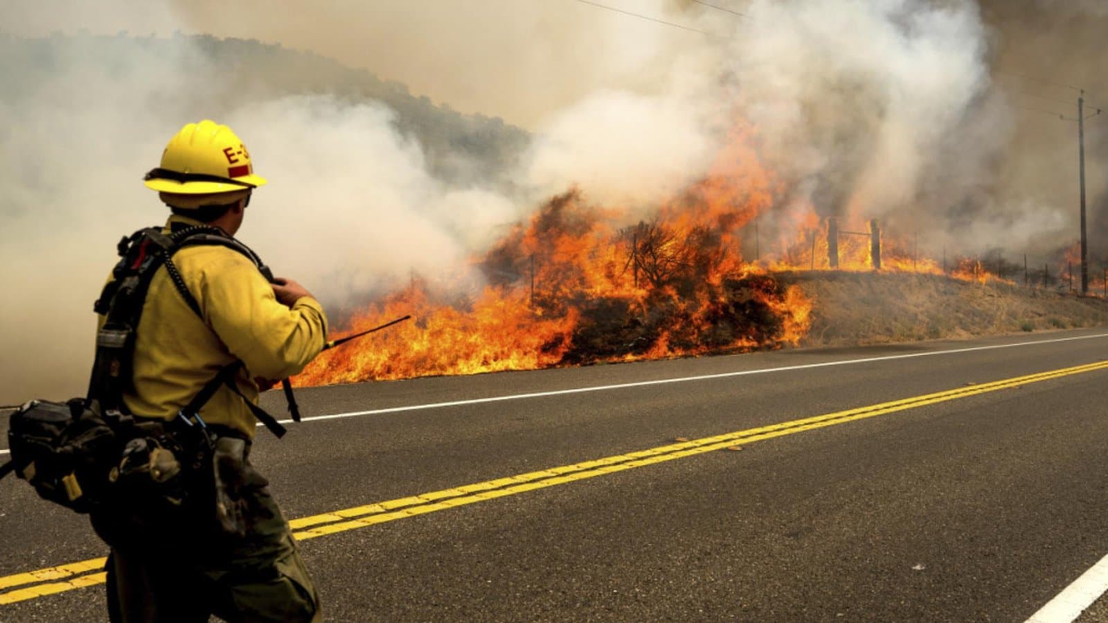 Californie : le « Madre Fire » ravage plus de 213 km²