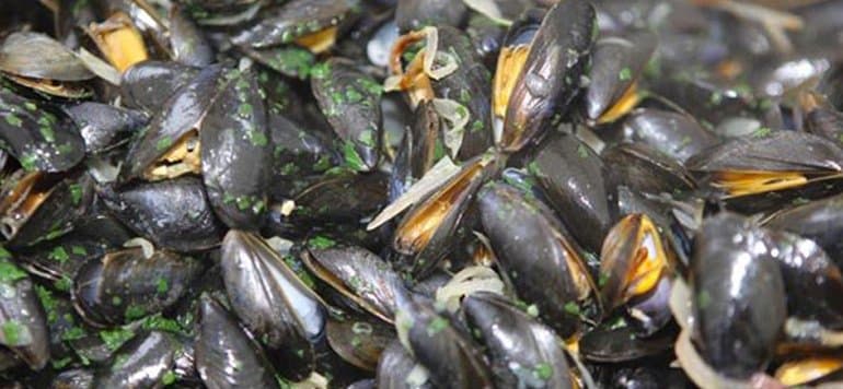 Dakhla: Interdiction de vente de coquillages dans cinq zones