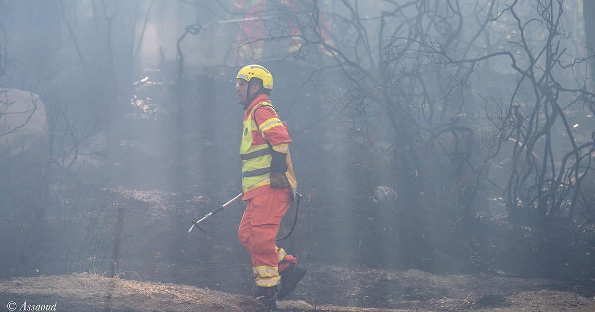 Chefchaouen: l’incendie de la forêt Derdara maîtrisé