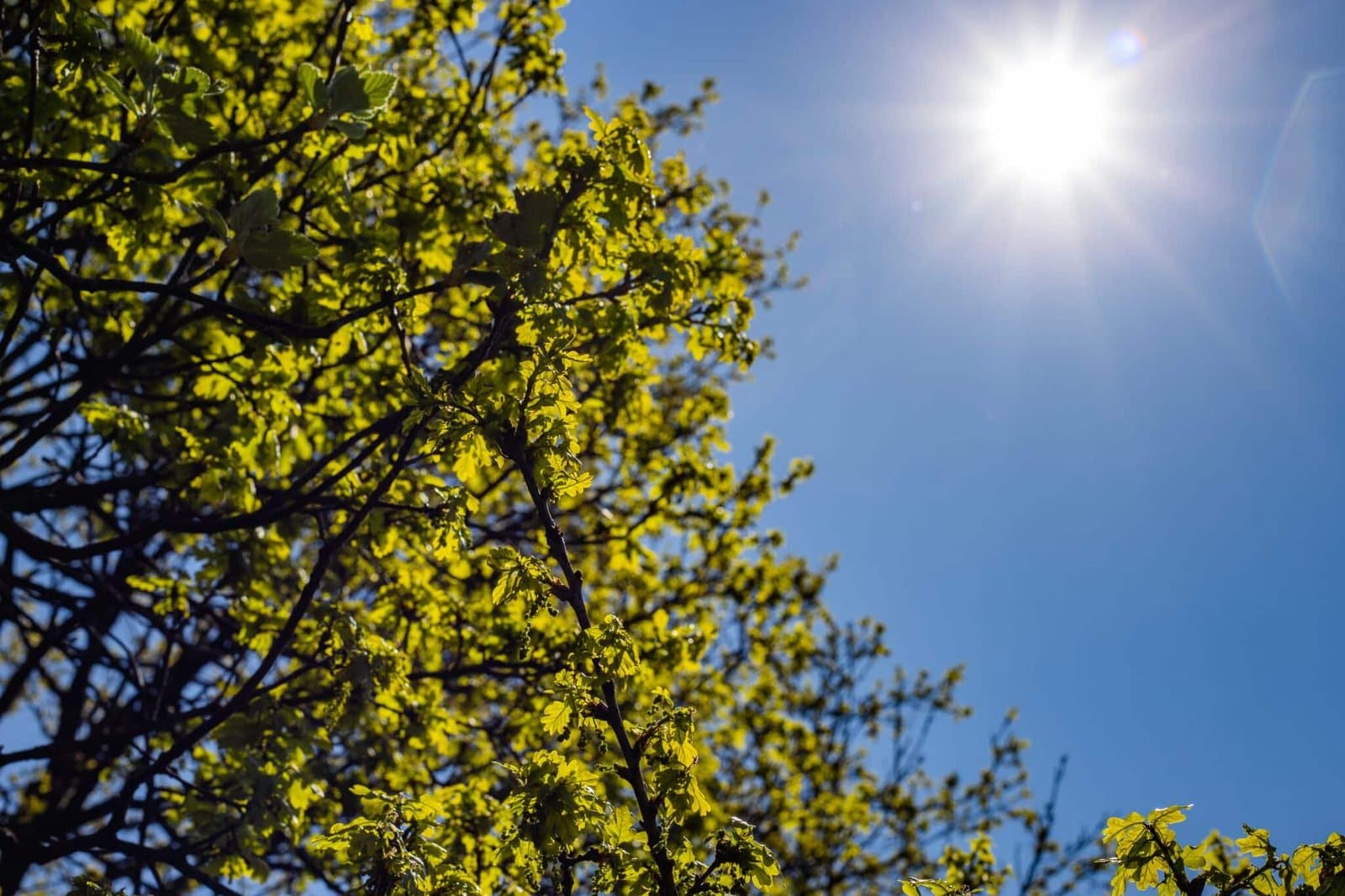 Orages et baisse des températures dans plusieurs régions