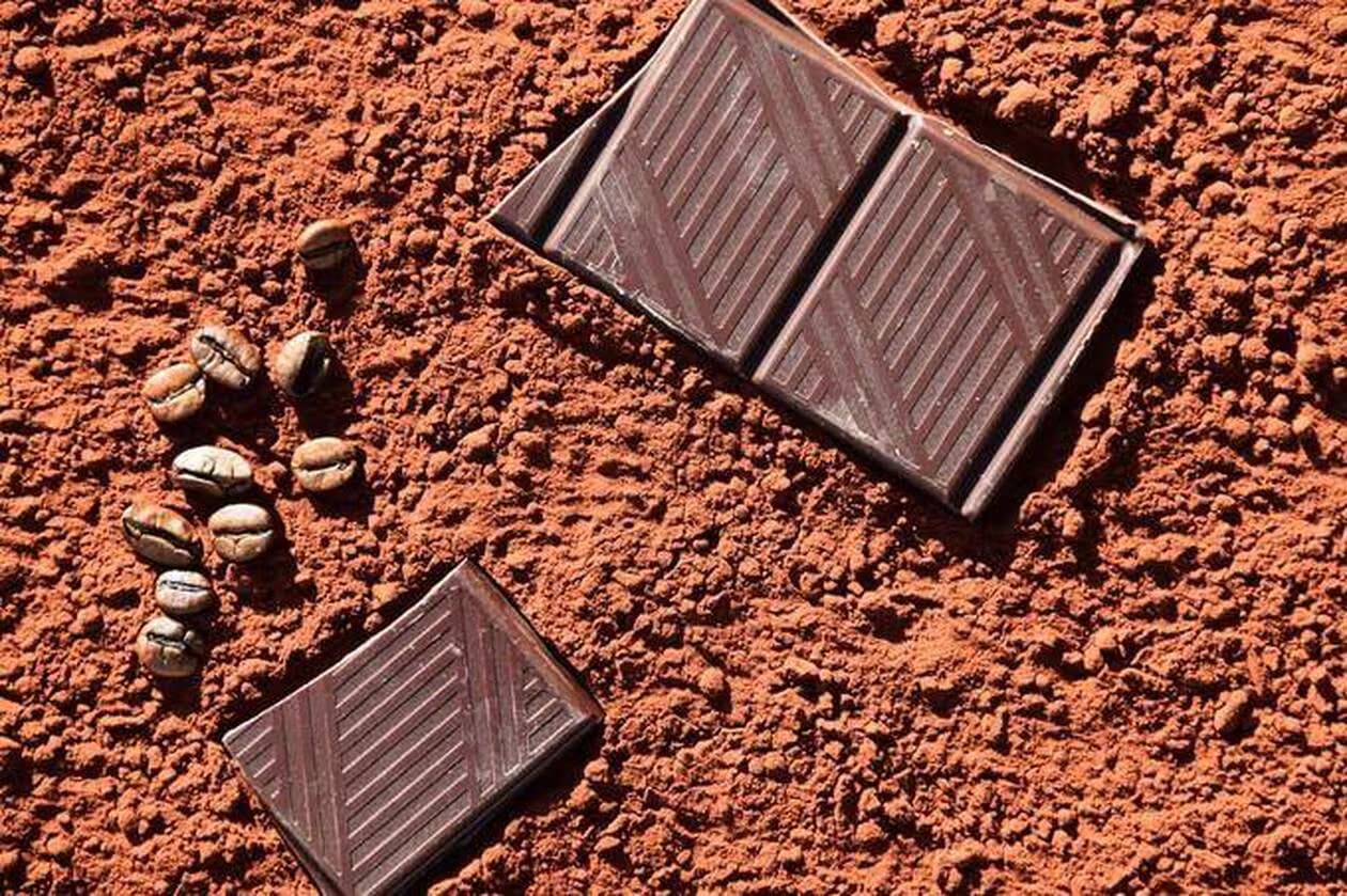 ChoViva, le chocolat écolo sans cacao