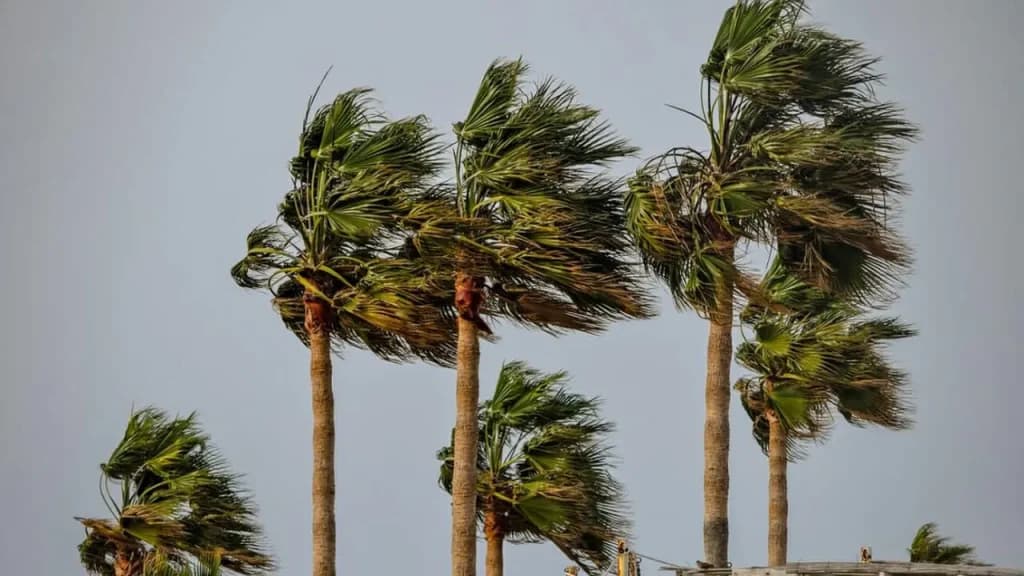 Alerte orange: Vents forts et chasse-sables jeudi
