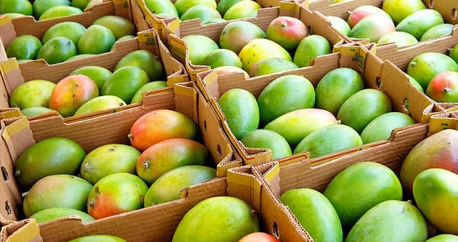 Fruits exotiques: Les importations marocaines progressent